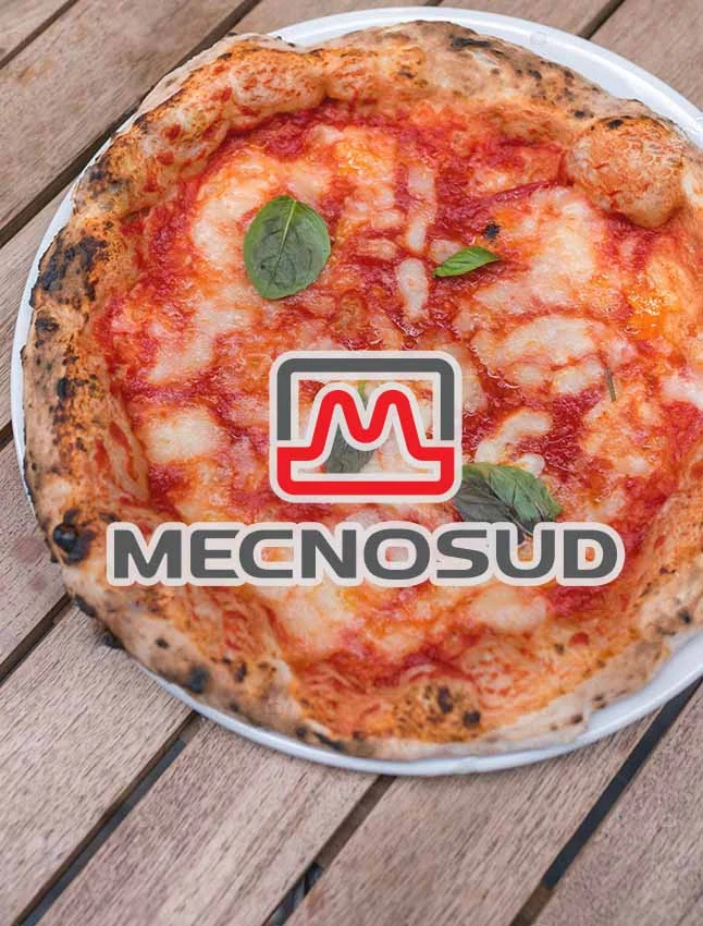 Mecnosud